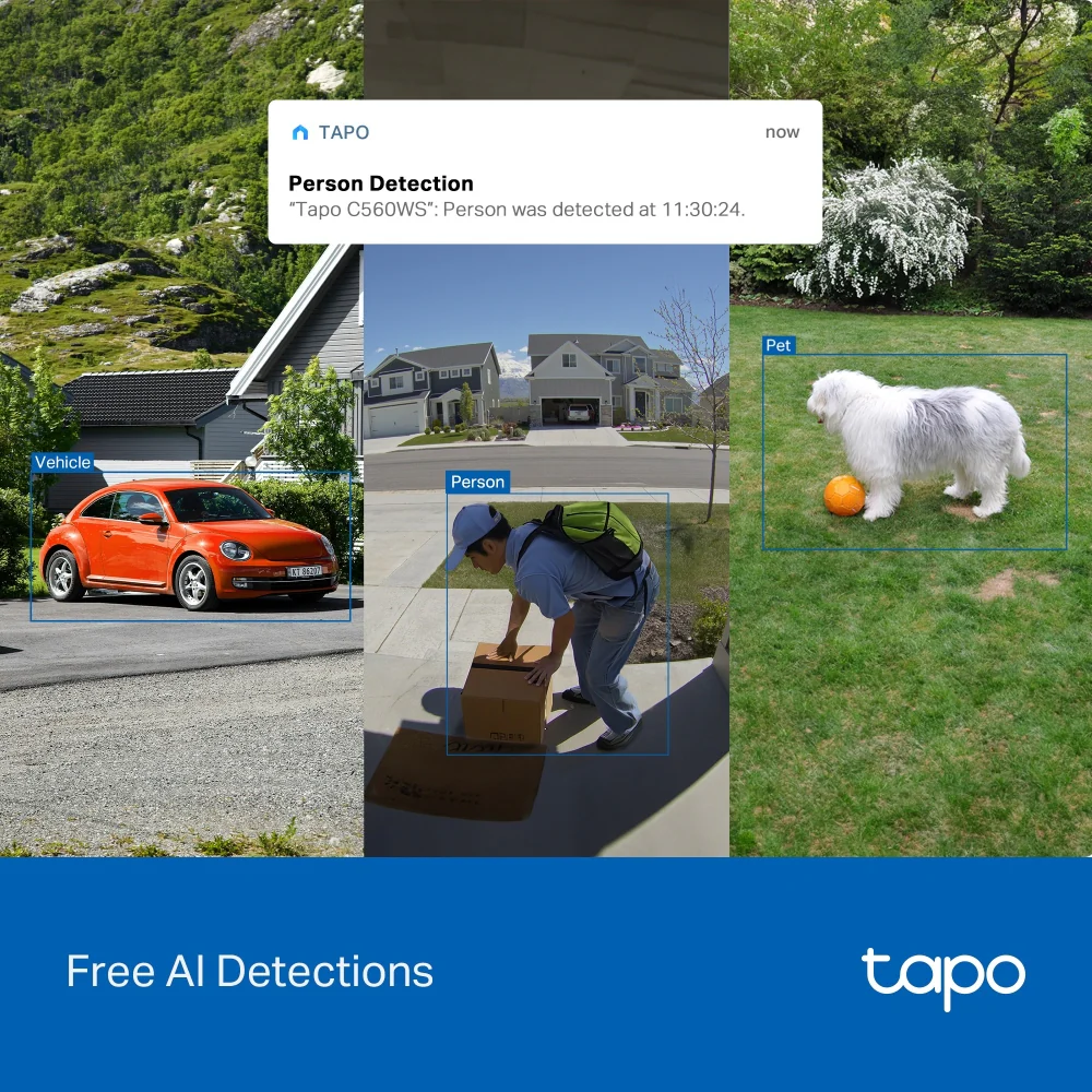 TAPO Outdoor Pan/Tilt Security Wi-Fi Camera | TAPO C560WS - Image 6